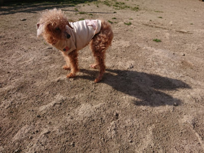 f:id:roukenhome-ann:20190407054617j:plain