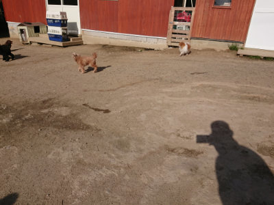 f:id:roukenhome-ann:20190407054623j:plain