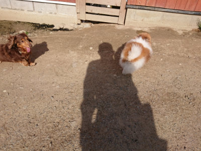 f:id:roukenhome-ann:20190407054628j:plain
