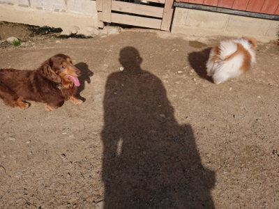 f:id:roukenhome-ann:20190407054634j:plain