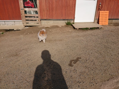f:id:roukenhome-ann:20190407054648j:plain