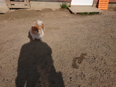 f:id:roukenhome-ann:20190407054653j:plain