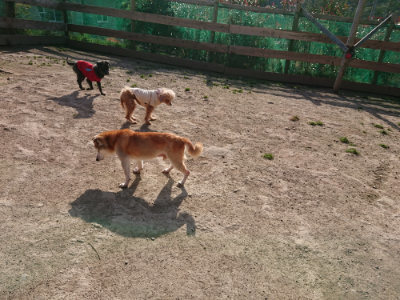 f:id:roukenhome-ann:20190407073603j:plain