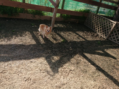 f:id:roukenhome-ann:20190407073608j:plain
