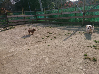 f:id:roukenhome-ann:20190407073613j:plain