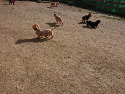 f:id:roukenhome-ann:20190407073636j:plain