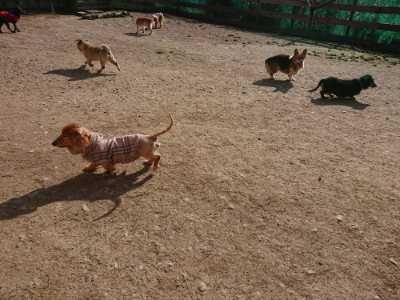 f:id:roukenhome-ann:20190407073642j:plain