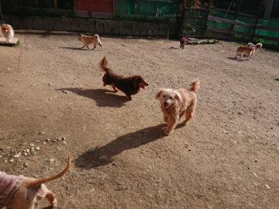 f:id:roukenhome-ann:20190407073711j:plain