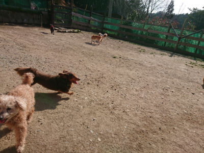 f:id:roukenhome-ann:20190407073717j:plain