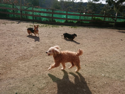 f:id:roukenhome-ann:20190407073728j:plain