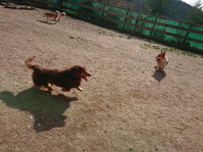f:id:roukenhome-ann:20190407073734j:plain