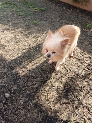 f:id:roukenhome-ann:20190407073841j:plain
