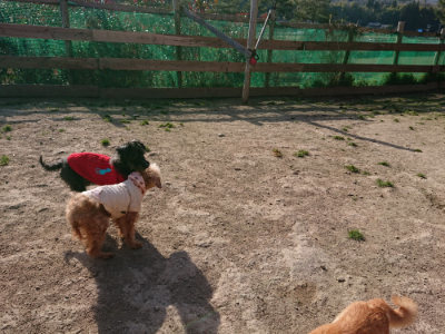 f:id:roukenhome-ann:20190407073858j:plain