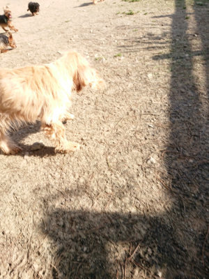 f:id:roukenhome-ann:20190407073929j:plain
