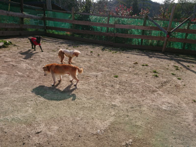 f:id:roukenhome-ann:20190407073956j:plain