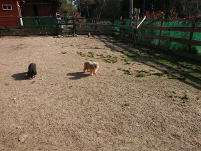 f:id:roukenhome-ann:20190407074003j:plain