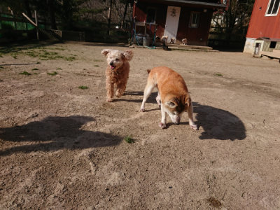 f:id:roukenhome-ann:20190407074054j:plain