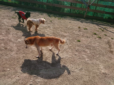 f:id:roukenhome-ann:20190407074113j:plain