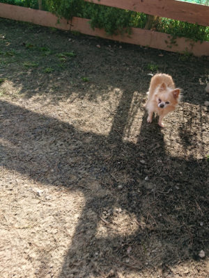 f:id:roukenhome-ann:20190407074119j:plain