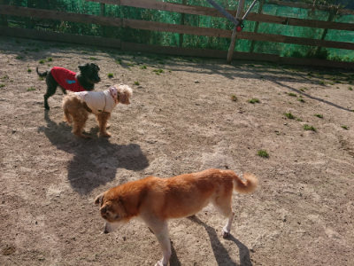 f:id:roukenhome-ann:20190407074136j:plain
