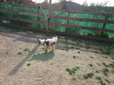f:id:roukenhome-ann:20190407074152j:plain