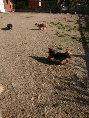 f:id:roukenhome-ann:20190407074159j:plain