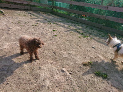 f:id:roukenhome-ann:20190407074205j:plain