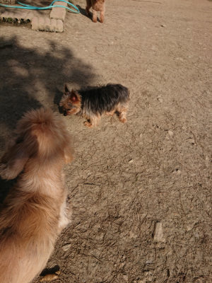 f:id:roukenhome-ann:20190407074223j:plain