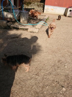f:id:roukenhome-ann:20190407074228j:plain