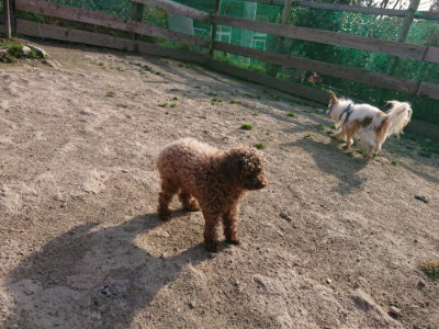 f:id:roukenhome-ann:20190407074234j:plain