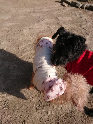 f:id:roukenhome-ann:20190407074239j:plain