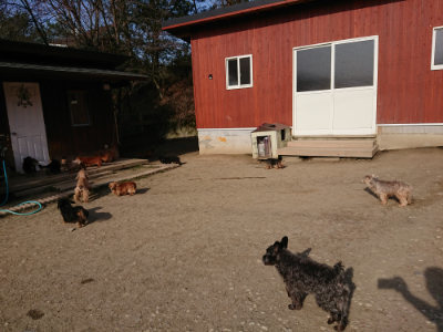 f:id:roukenhome-ann:20190407074251j:plain