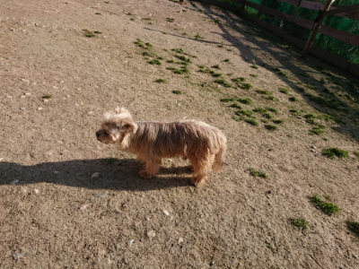 f:id:roukenhome-ann:20190407074303j:plain