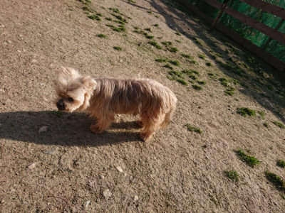 f:id:roukenhome-ann:20190407074309j:plain