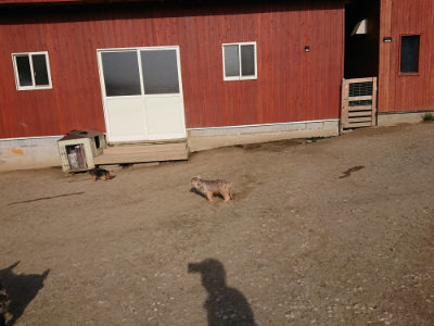 f:id:roukenhome-ann:20190407074315j:plain