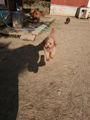 f:id:roukenhome-ann:20190407074334j:plain