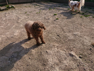 f:id:roukenhome-ann:20190407074340j:plain