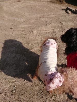 f:id:roukenhome-ann:20190407074345j:plain