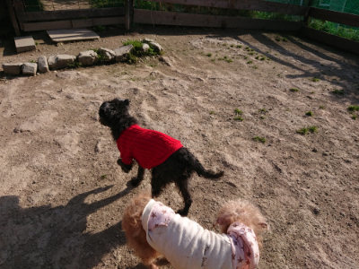 f:id:roukenhome-ann:20190407074351j:plain