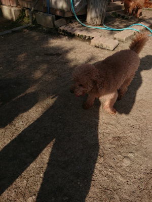 f:id:roukenhome-ann:20190407074356j:plain