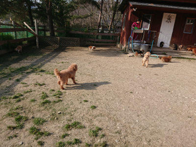 f:id:roukenhome-ann:20190407074402j:plain