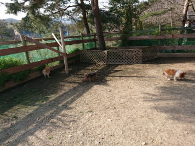 f:id:roukenhome-ann:20190407074445j:plain