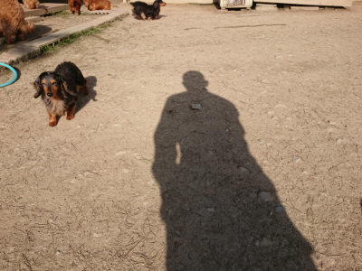 f:id:roukenhome-ann:20190407074502j:plain