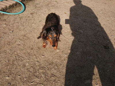 f:id:roukenhome-ann:20190407074508j:plain