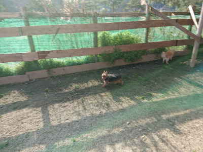 f:id:roukenhome-ann:20190407074513j:plain