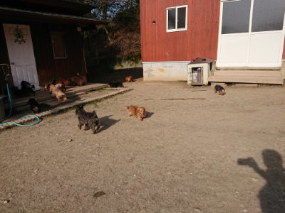 f:id:roukenhome-ann:20190407074559j:plain