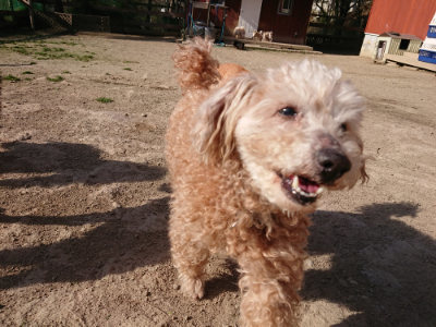 f:id:roukenhome-ann:20190407074610j:plain
