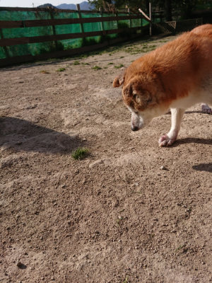 f:id:roukenhome-ann:20190407074632j:plain