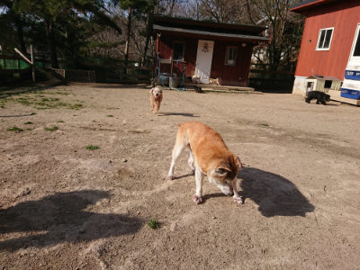 f:id:roukenhome-ann:20190407074638j:plain