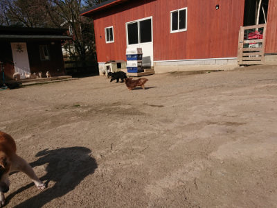 f:id:roukenhome-ann:20190407074822j:plain